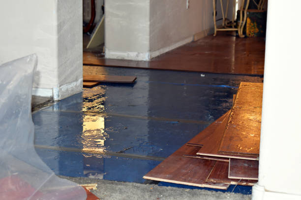 Professional Basement Flood Cleanup technician working in Faith, NC